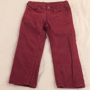 True Religion Toddler pants